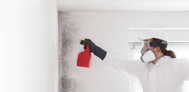 Best Emergency Mold Removal  in Clifton, TX