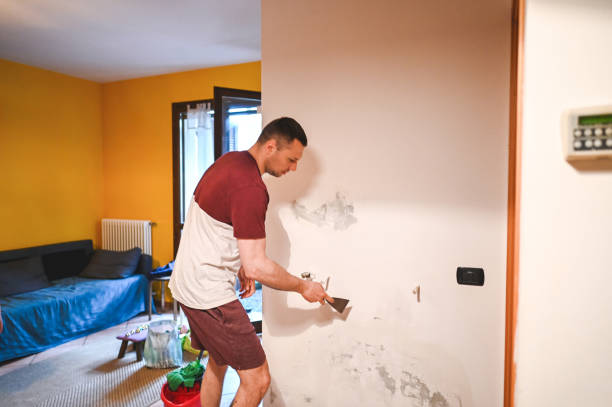 Best Professional Mold Removal  in Clifton, TX