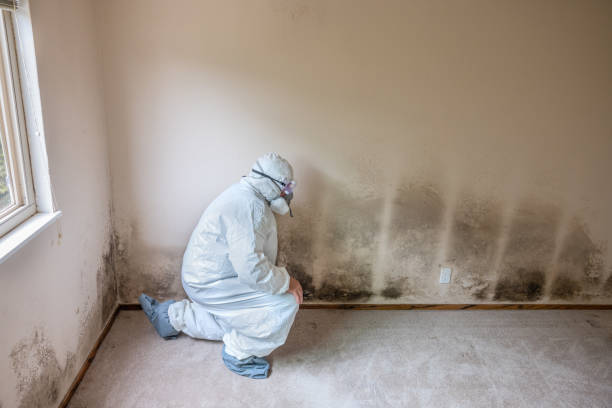 Best Mold Testing  in Clifton, TX