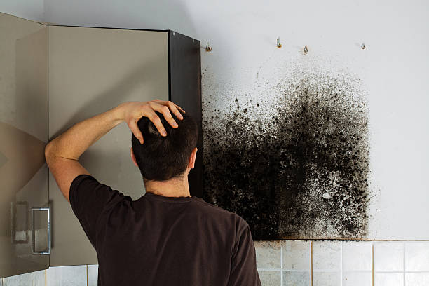 Trusted Clifton, TX Mold Removal Experts